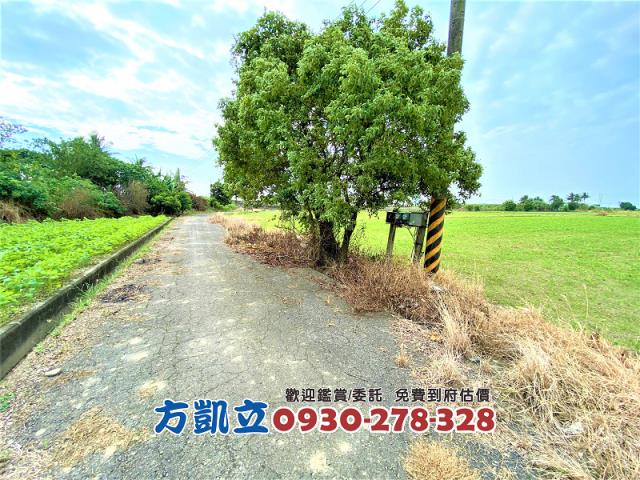 台南善化農地-9