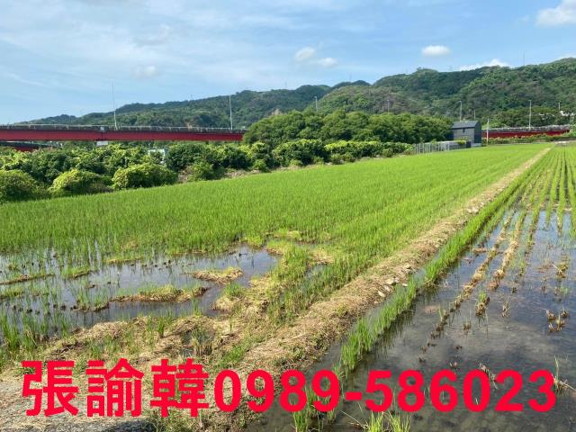 草屯農地-3