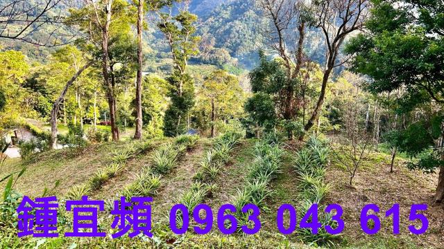 新竹北埔農地-3