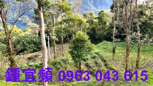 新竹北埔農地-5