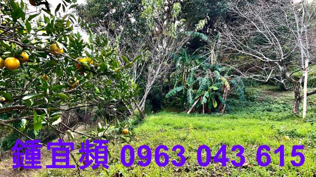 新竹北埔農地-7