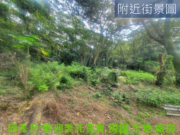 淡水農地-4