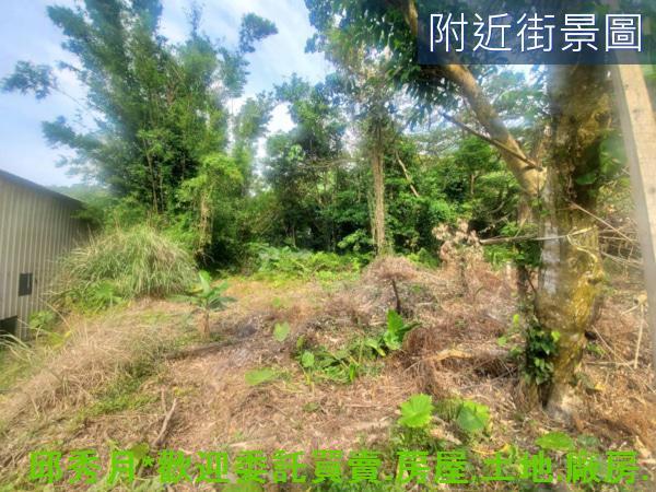 淡水農地-5