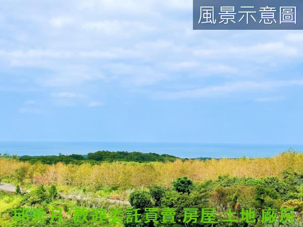 三芝農地-6