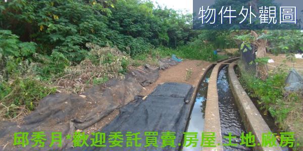 新北農地-3