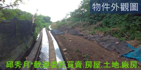 新北農地-5