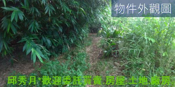 新北農地-7