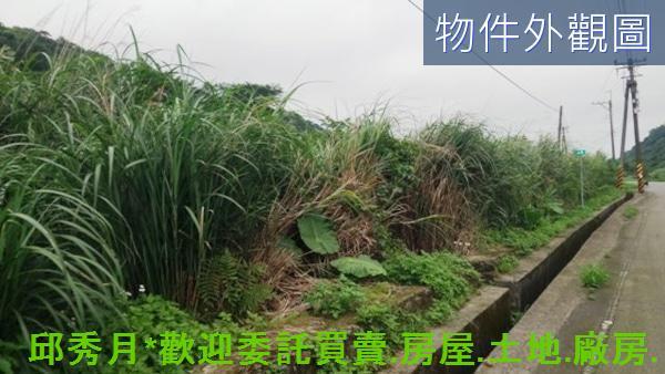 新北農地-13