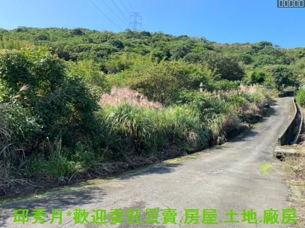 新北農地-7
