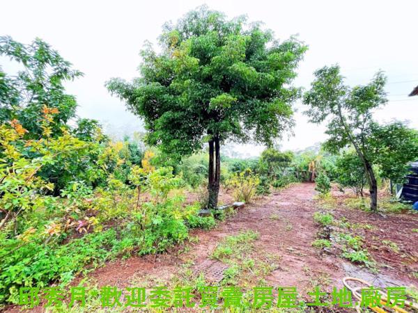 新北其他-3