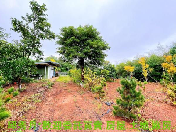 新北其他-7