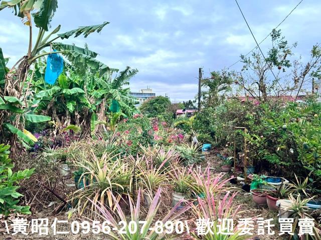 台南七股建地-1