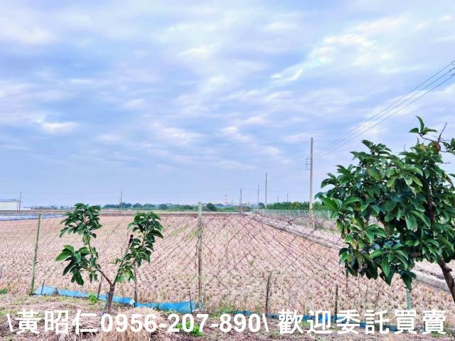 台南善化農地-6