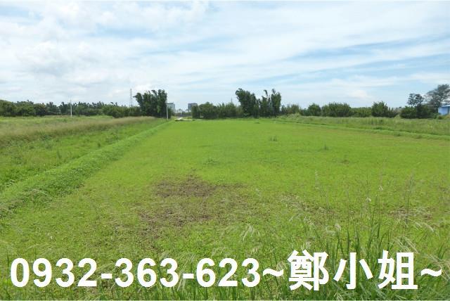 桃園觀音農地-2