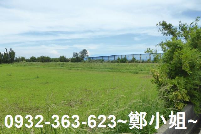 桃園觀音農地-3