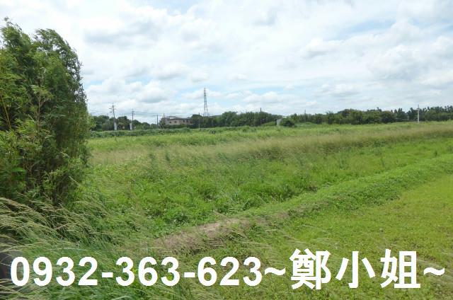 桃園觀音農地-4