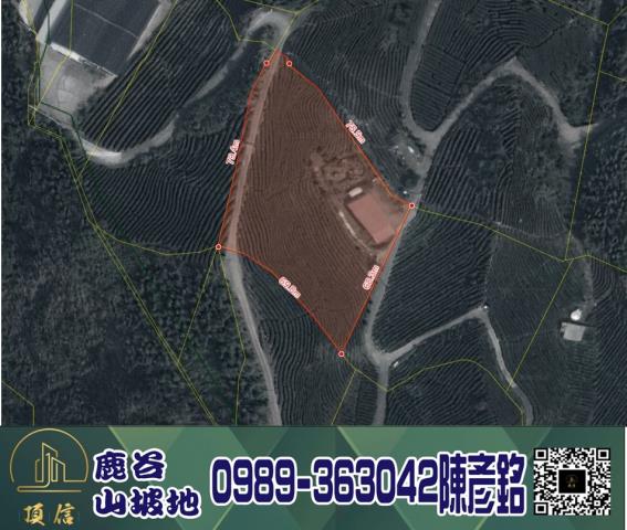 南投鹿谷工業地-11