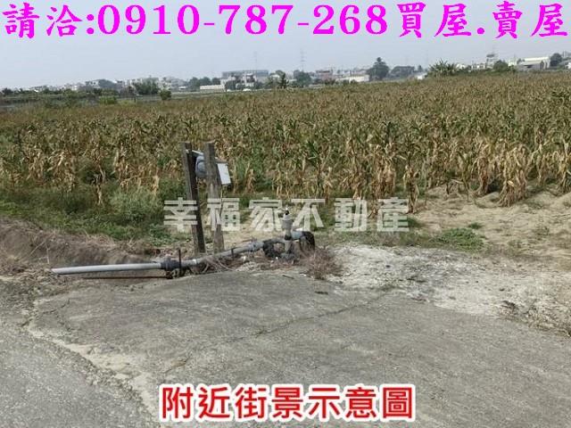 台南善化農地-11