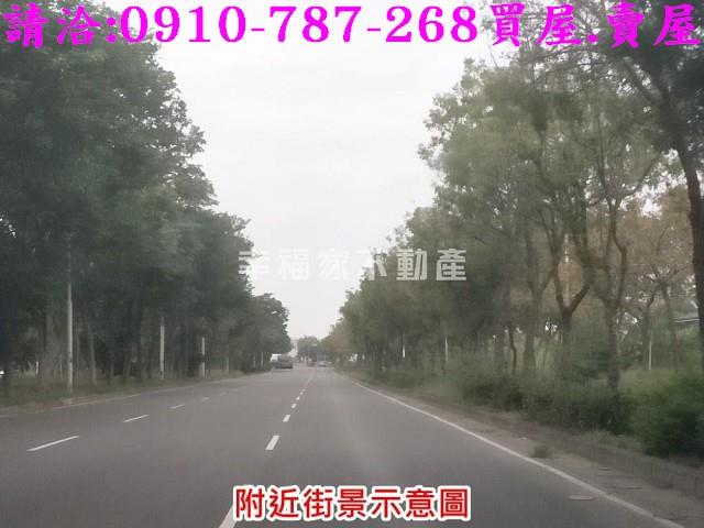 台南善化農地-12