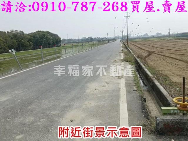 台南善化農地-3