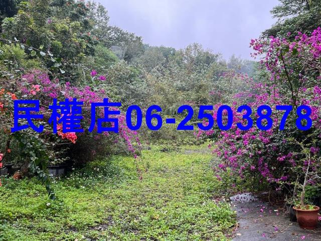 新化農地-8