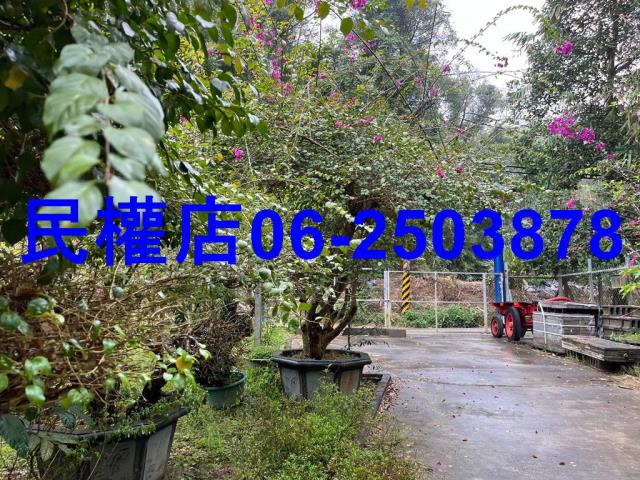 新化農地-9