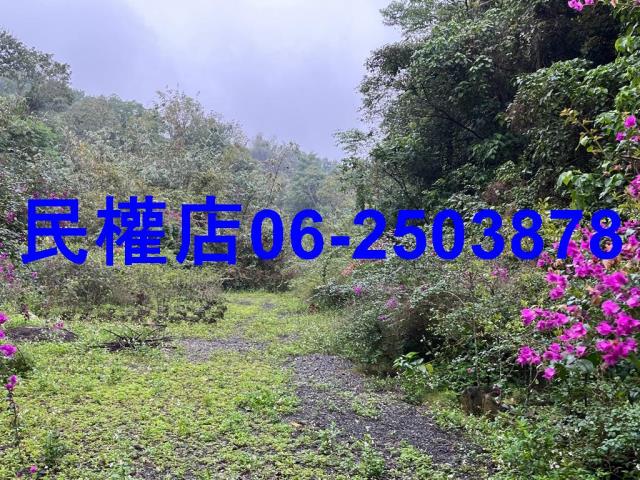 新化農地-7
