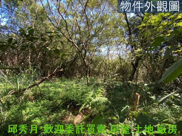 新北淡水農地-5