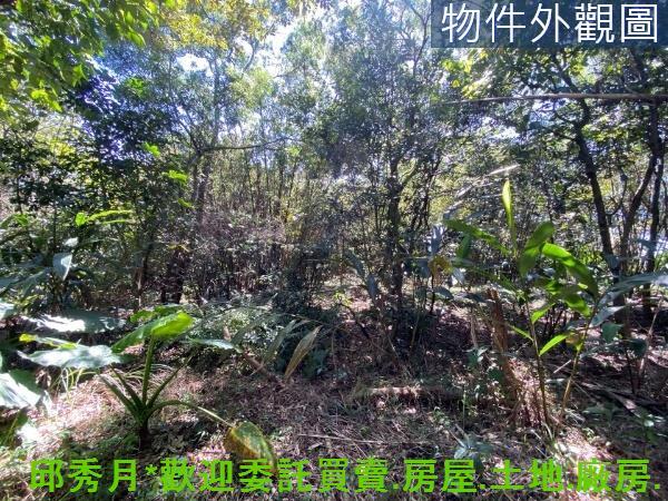 新北淡水農地-8