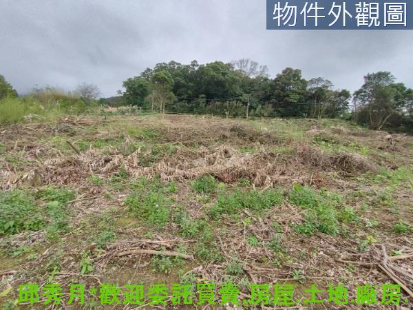 淡水農地-2
