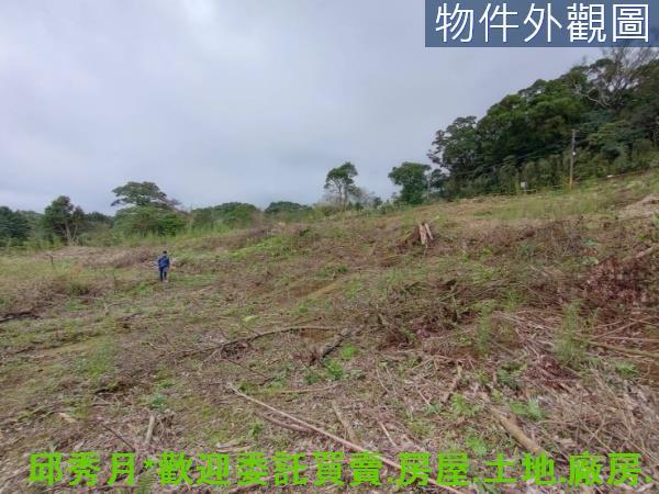 淡水農地-3