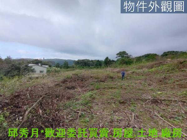 淡水農地-4