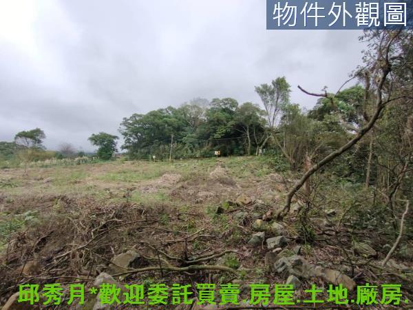 淡水農地-5