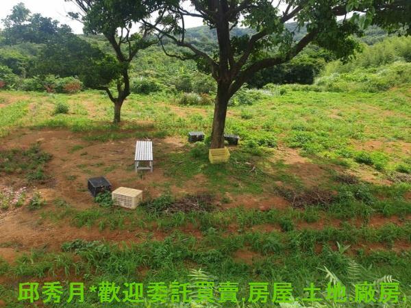 新北石門農地-3