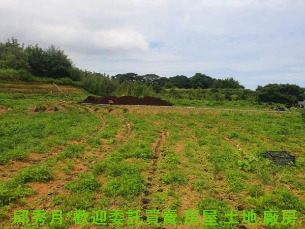 新北石門農地-4