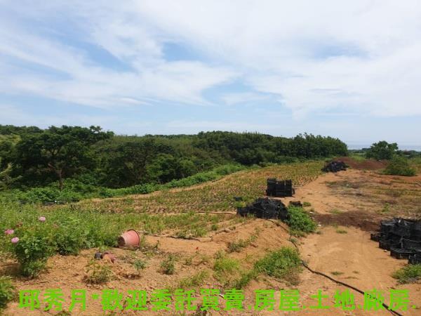 新北石門農地-5