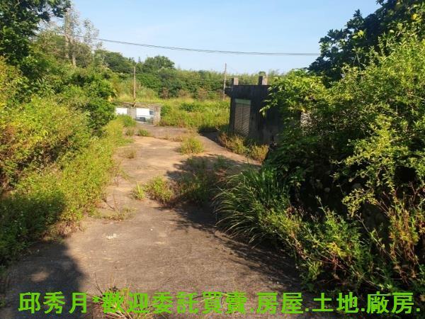 新北石門農地-4
