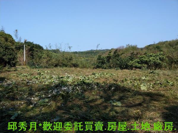 石門農地-2