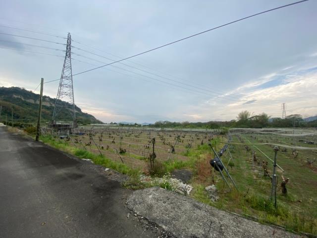 玉井農地-15