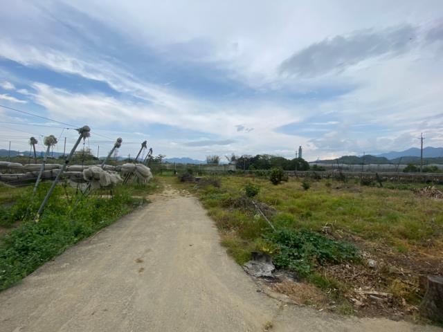 玉井農地-5