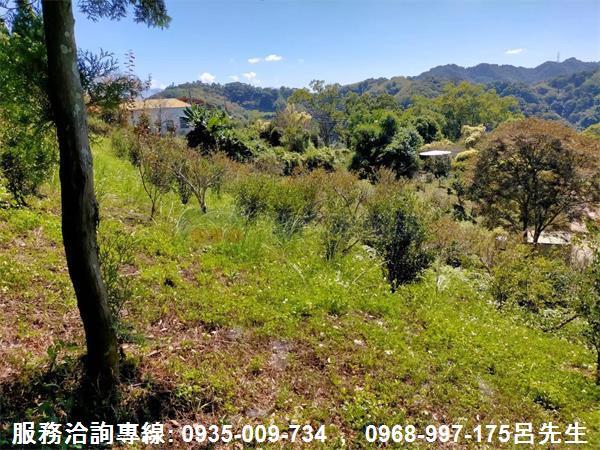苗栗銅鑼農地-3