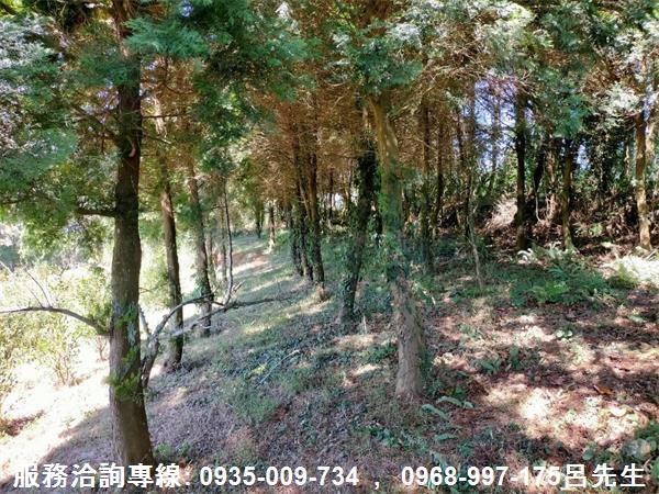 苗栗銅鑼農地-9