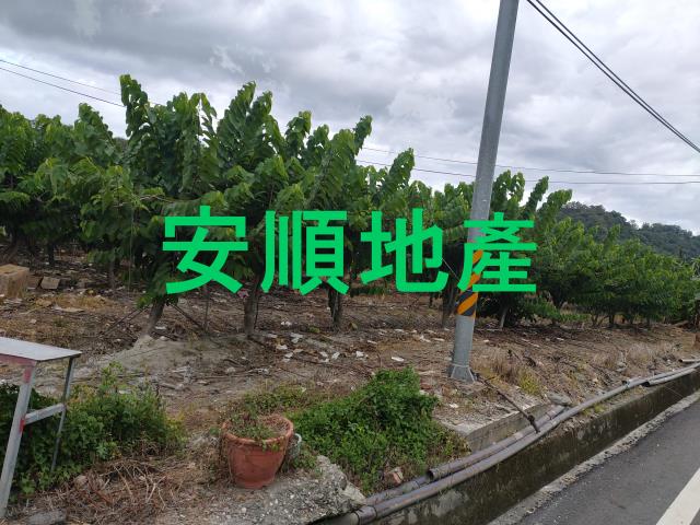 台東卑南農地-2