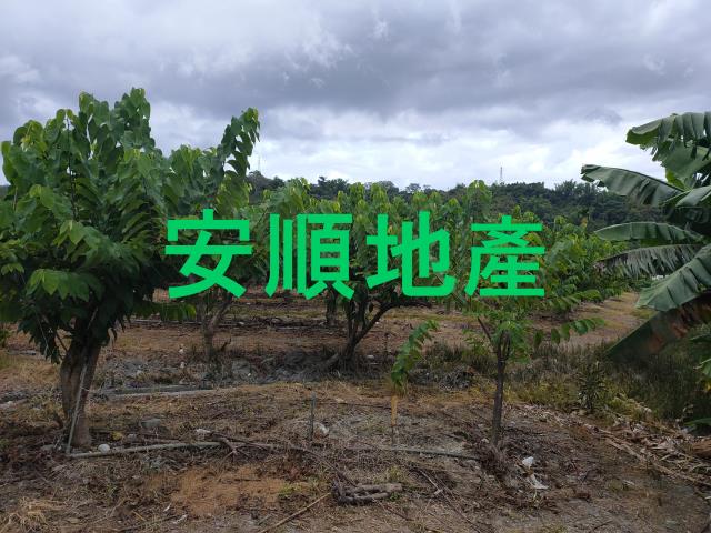 台東卑南農地-4
