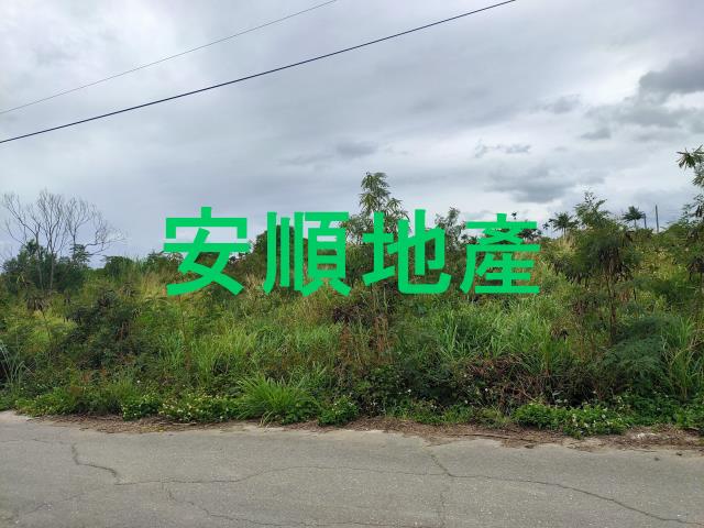 東河農地-4
