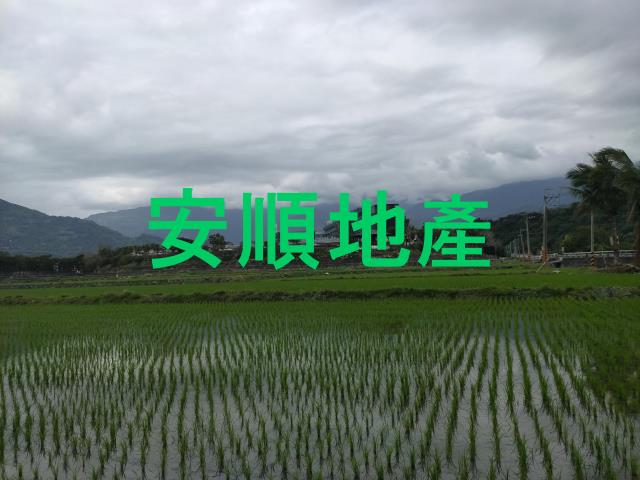 台東鹿野農地-10