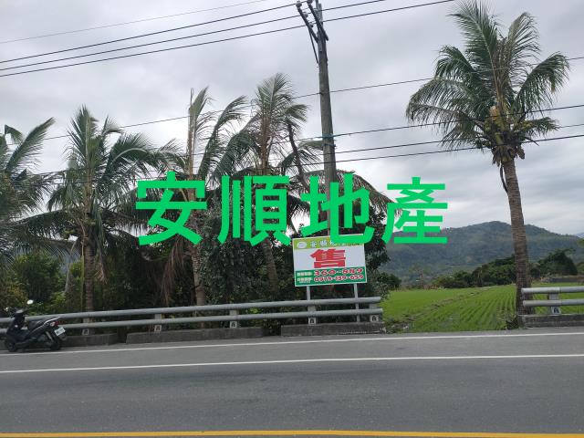 台東鹿野農地-5