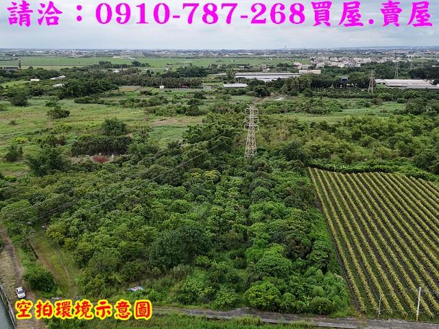 東山農地-11