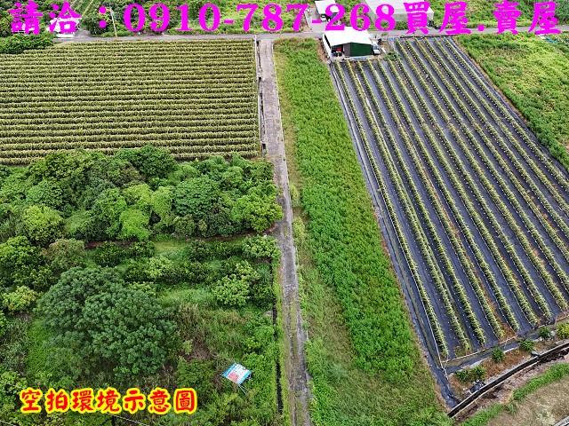 東山農地-13