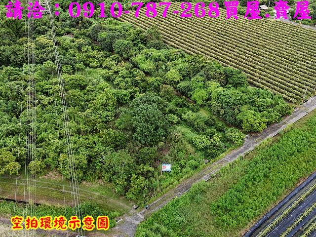 東山農地-3